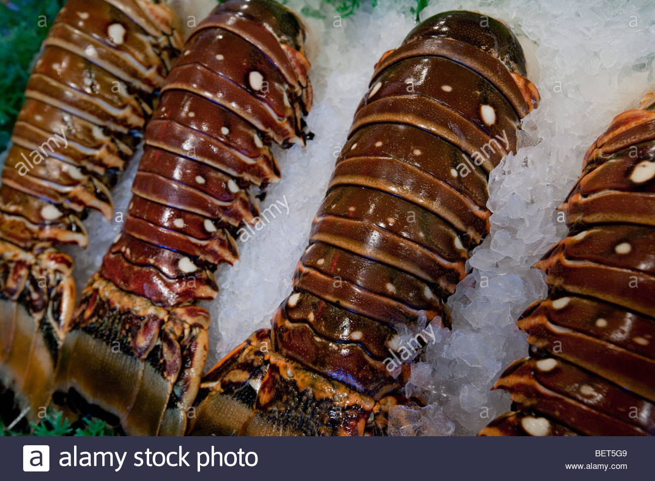 Lobster tails for sale at a fish market in Seattle, Washington Stock