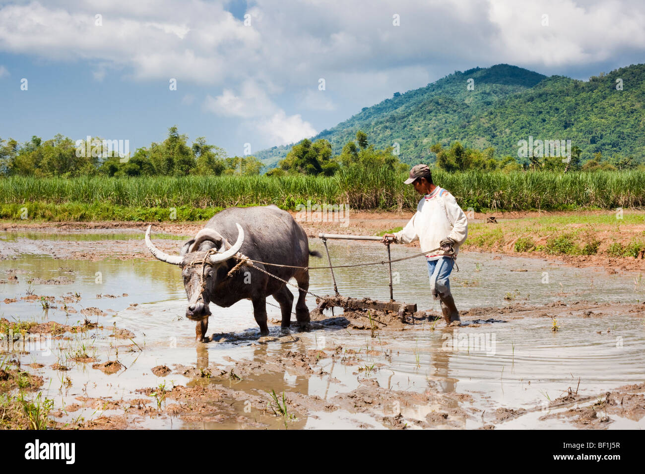 the filipino farmer Success stories of filipino farmers - sacrificed schooling to help his father in vegetable farming agribusiness how it works successful vegetable farmer, mi. the filipino farmer Success stories of filipino farmers - sacrificed schooling to help his father in vegetable farming agribusiness how it works successful vegetable farmer, mi.
