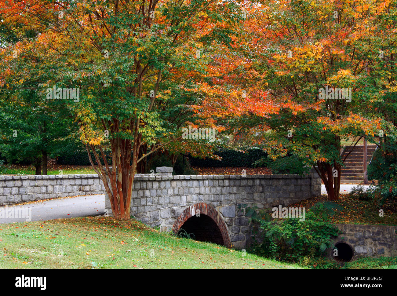 Stone bridge with fall colored trees at Oakwood cemetery in Raleigh