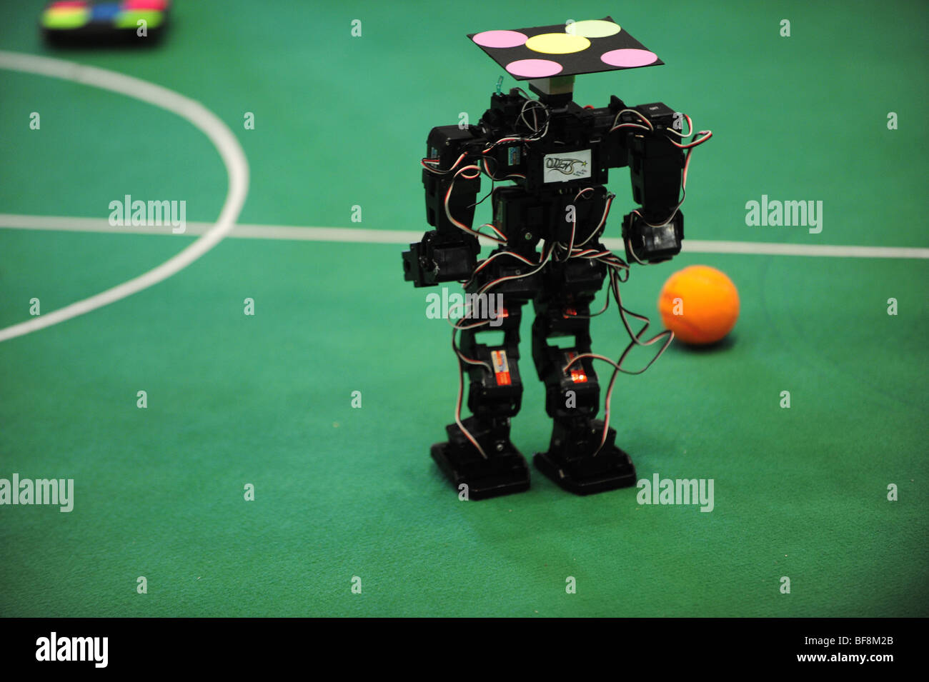 Forex robot world championship