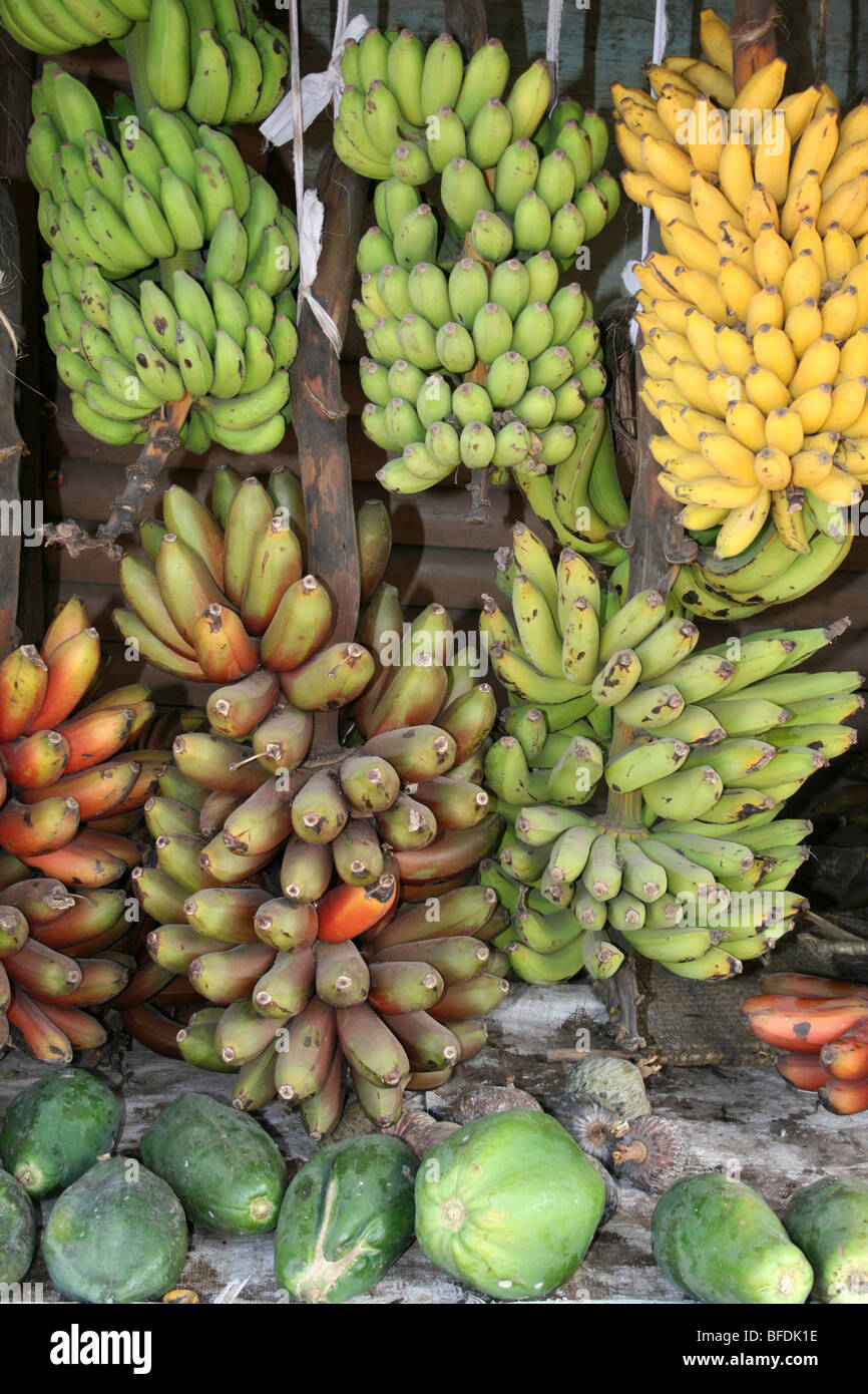 Bananas And Plantains For Sale On A Market Stall In Mto Wa Mbu Stock