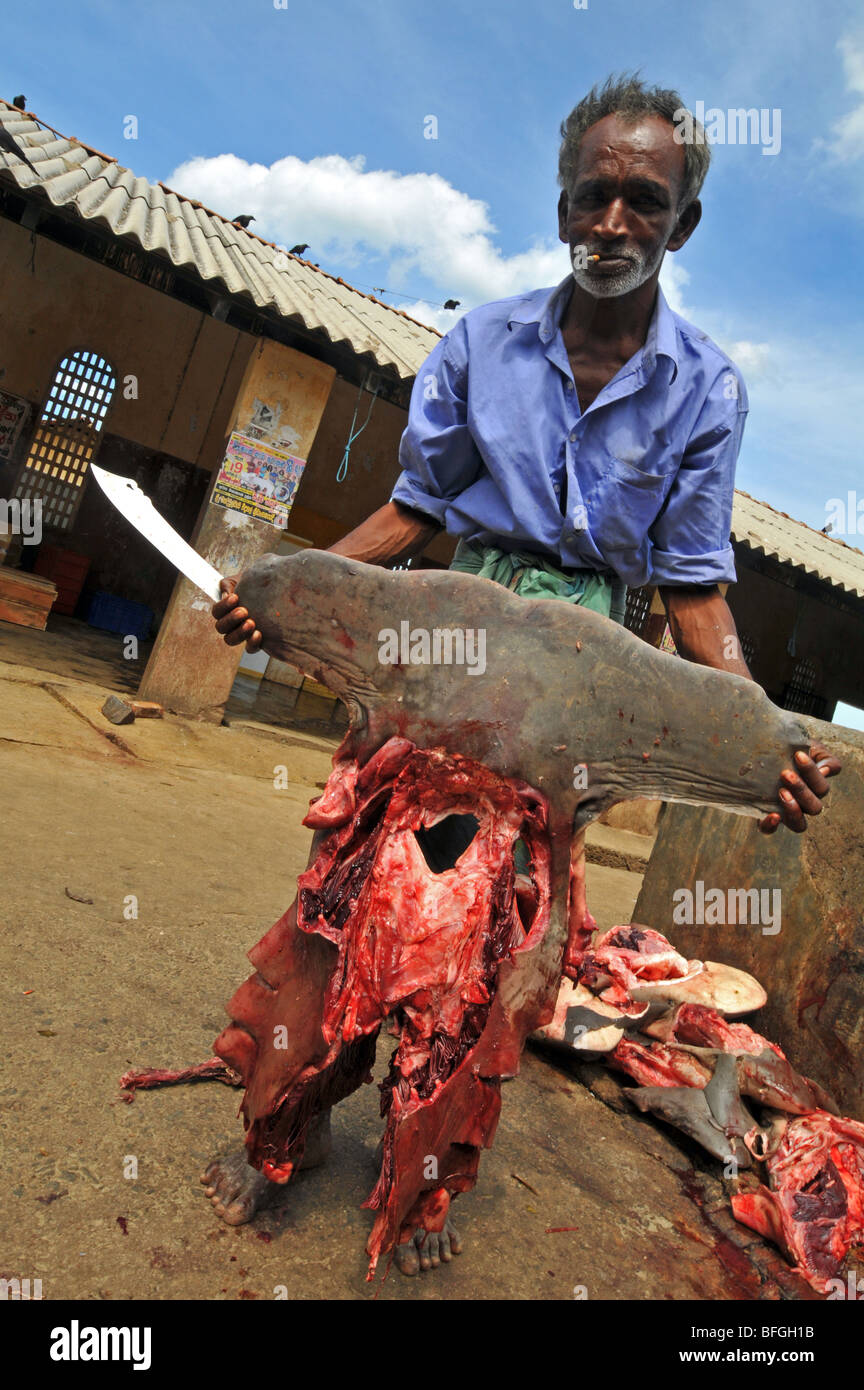 sri lankan cosmetic industry Fisheries, and forestry the dairy industry is also a top priority of the sri lankan safe and quality cosmetics, drugs and devices (cosmetic and medical) the sri. sri lankan cosmetic industry Fisheries, and forestry the dairy industry is also a top priority of the sri lankan safe and quality cosmetics, drugs and devices (cosmetic and medical) the sri.