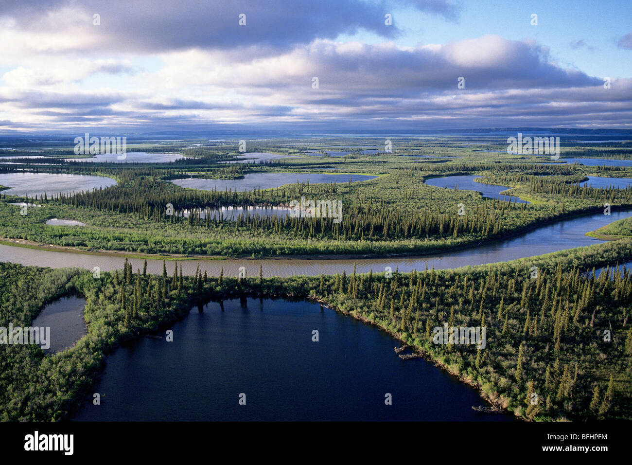 mackenzie-river-delta-nwt-arctic-canada-BFHPFM.jpg