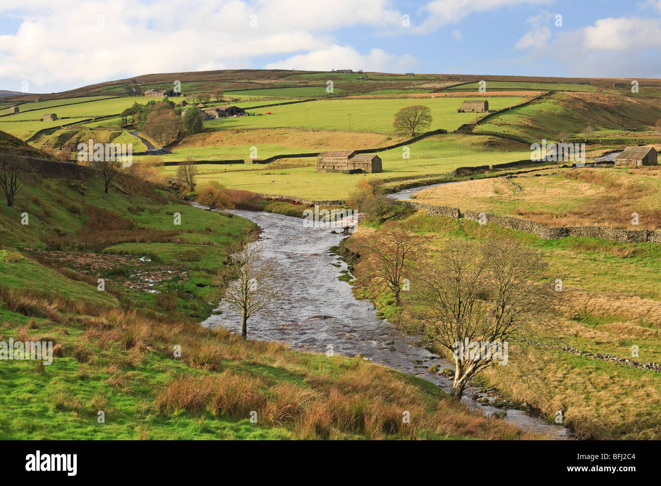 Birkdale Beck, Birk Dale, Upper Swaledale, North Yorkshire dales, UK