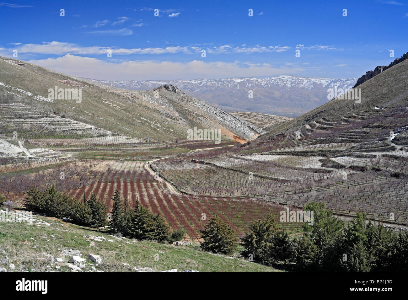 Niha, Bekaa valley, Lebanon Stock Photo, Royalty Free Image 27081585 Alamy
