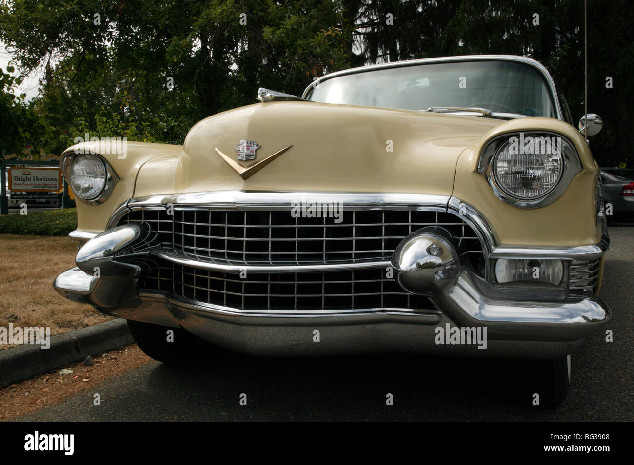 Xxx Imply In Car Shows Xxx Drive In Motor car Shows
