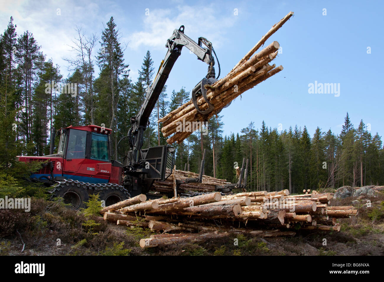 Logging industry showing timber / trees being loaded on forestry Stock Photo, Royalty Free Image