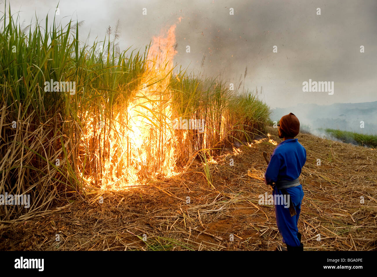 Sugar cane cutters burning the cane fields prior to harvesting. Near