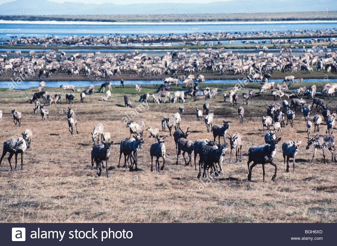 Image result for Turner river alaska