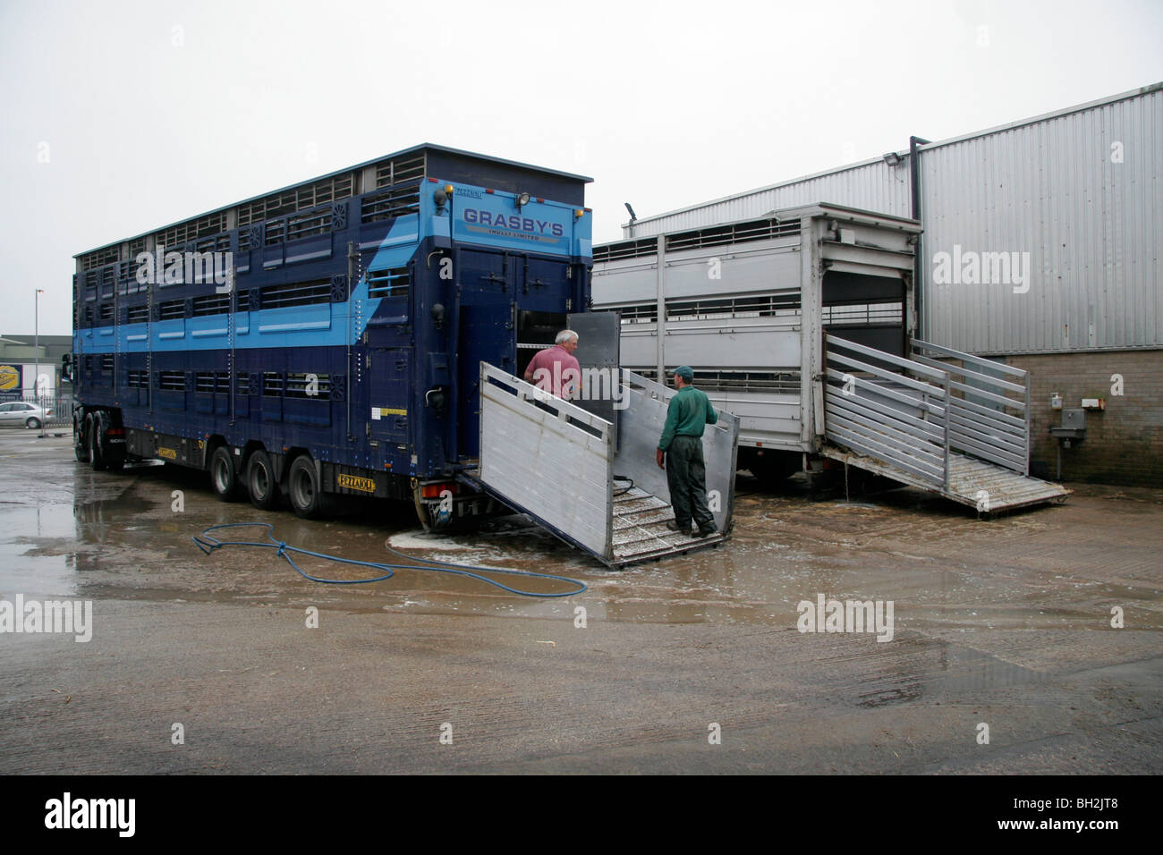 Livestock lorries being cleaned after unloading