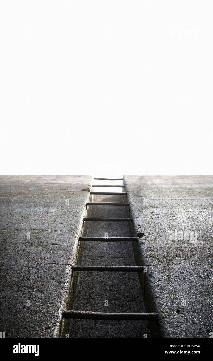 Ladder in concrete wall Stock Photo, Royalty Free Image 27808646 Alamy