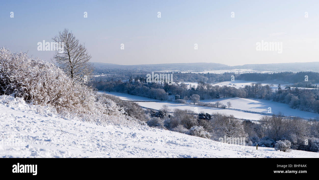 Winter at Newlands Corner near Guildford, Surrey, UK Stock Photo