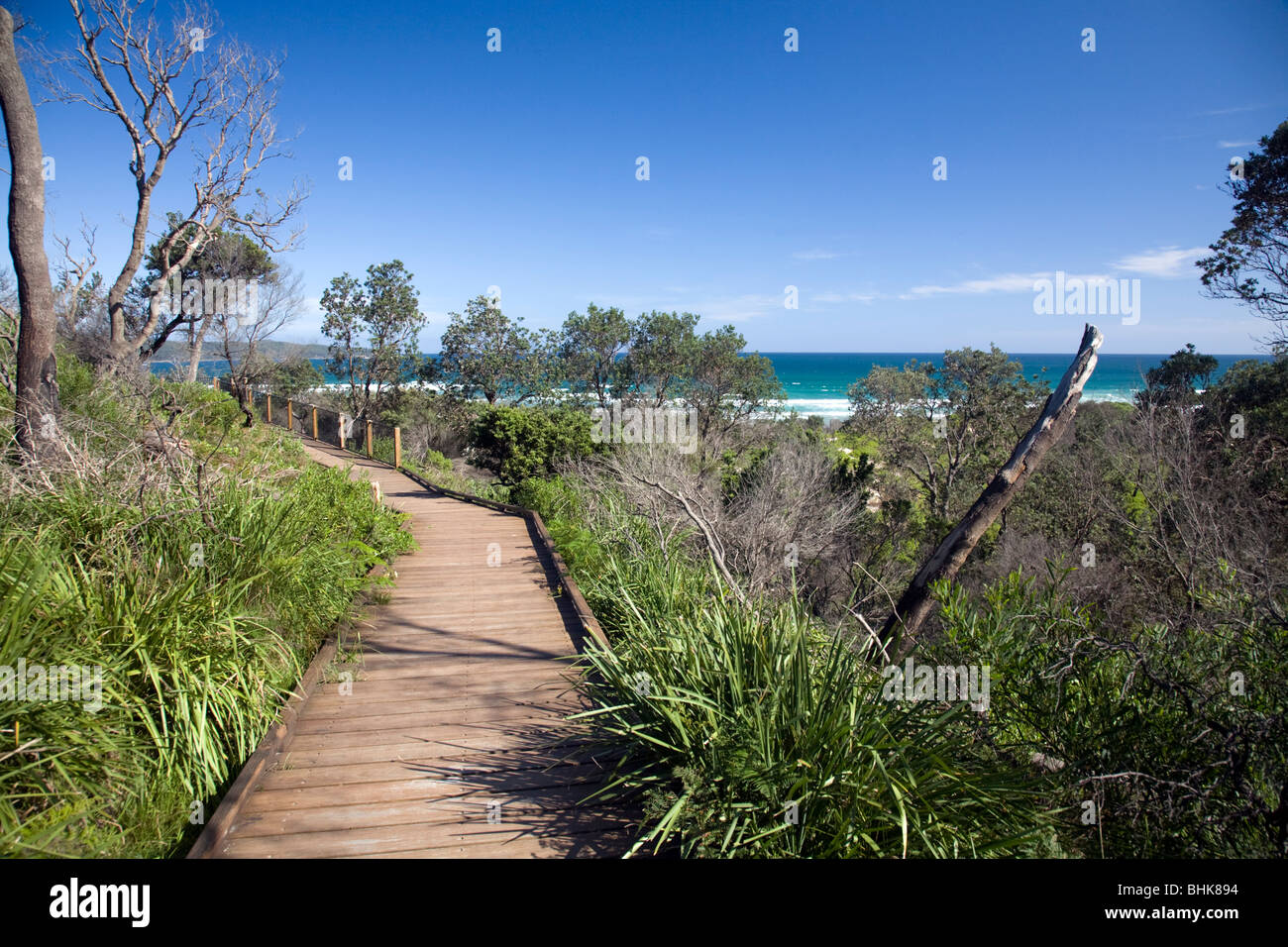 timber-walkway-at-entrance-to-cave-beach