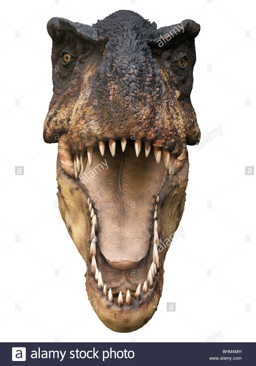 Dinosaur Mouth 98