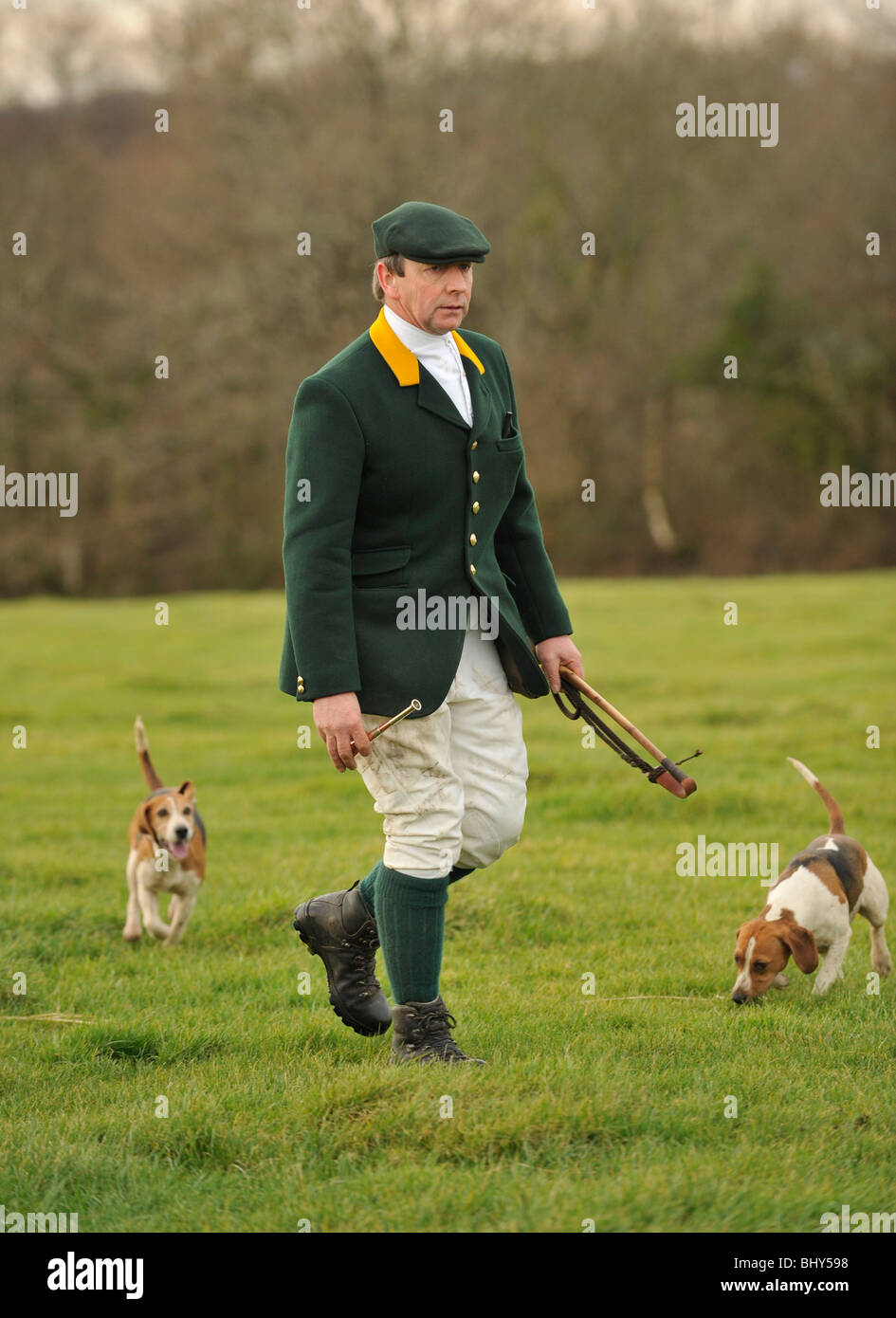 beagling Stock Photo, Royalty Free Image: 28256404 - Alamy