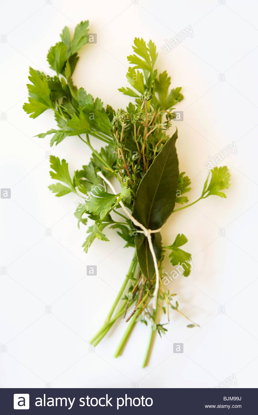 Bouquet Garni with Parsley, Thyme and Bay Leaves Stock Photo, Royalty