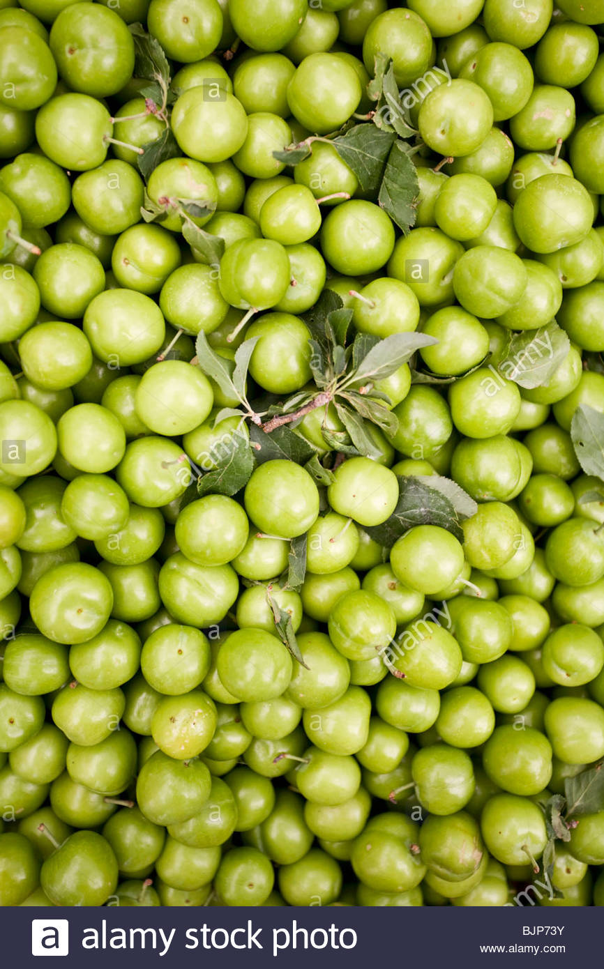 Green plums on a market stall, Turkey Stock Photo, Royalty Free Image