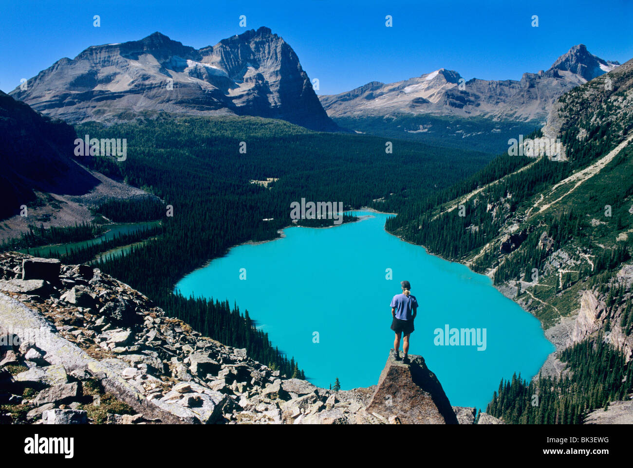 Hiker overlooking Lake O'Hara from Yukness Ledges in Yoho National