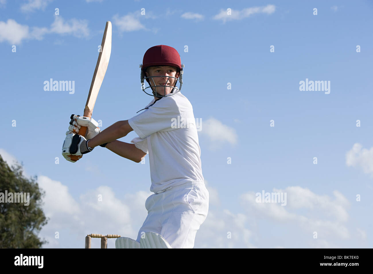 Cricket Hi Res Stock Photography And Images Alamy