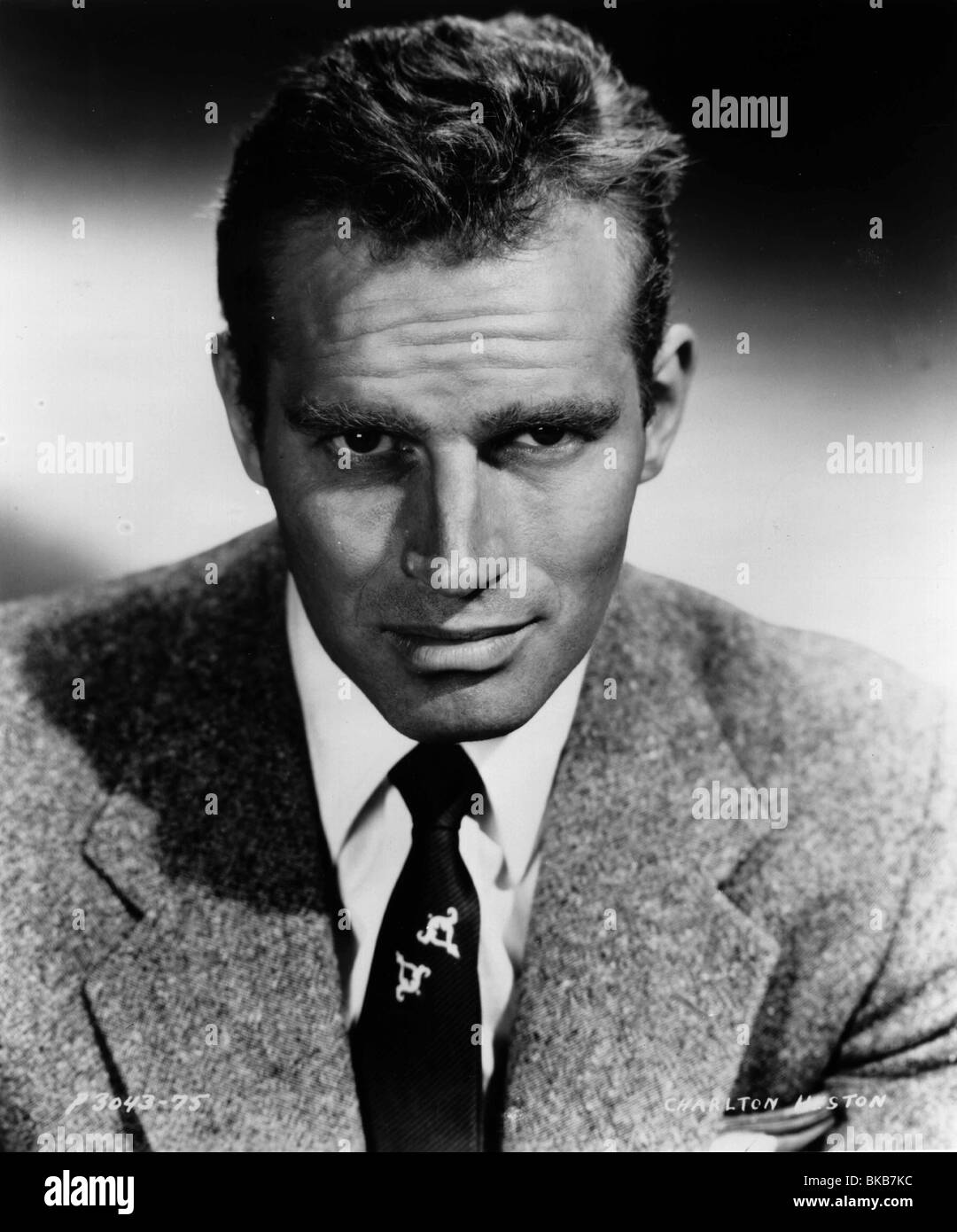 CHARLTON HESTON PORTRAIT Stock Photo, Royalty Free Image: 29136336 - Alamy