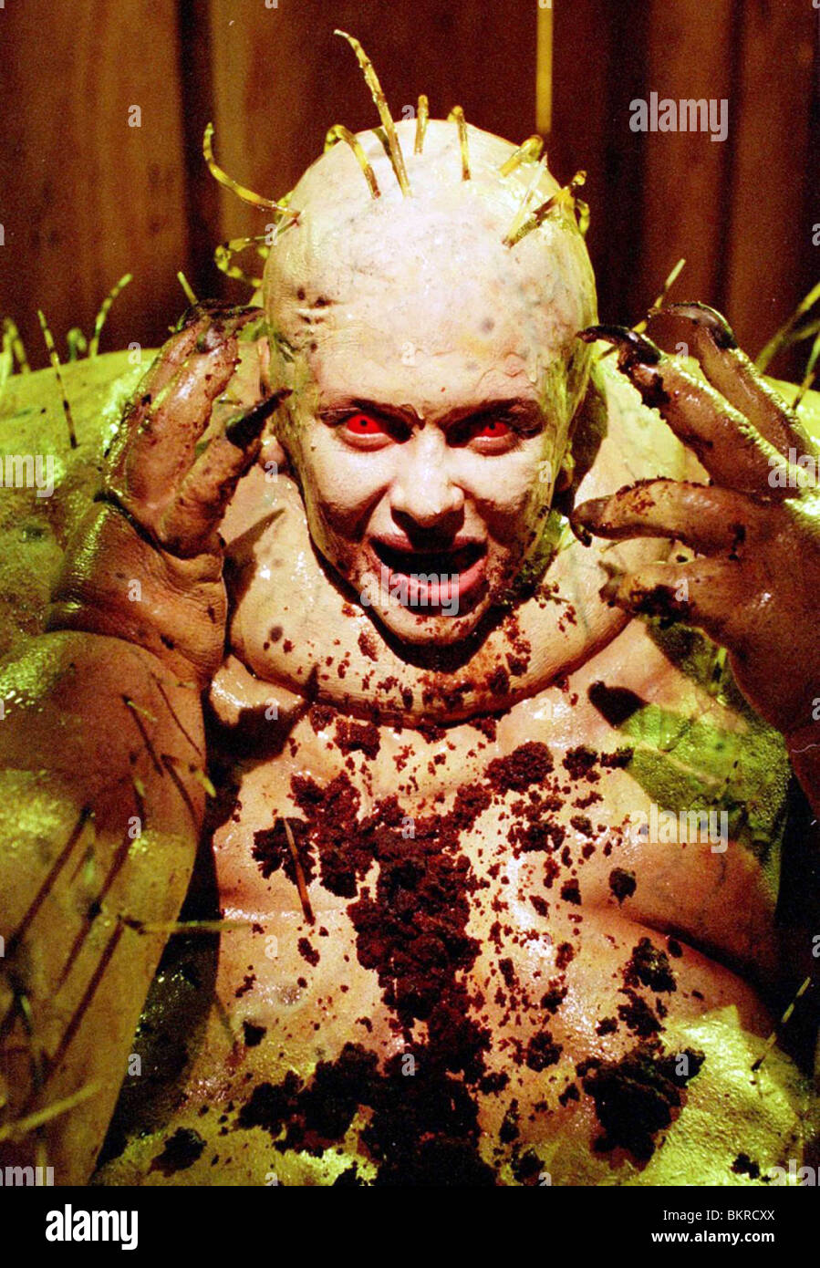 king of the ants porn queen latifah sucking a pussy