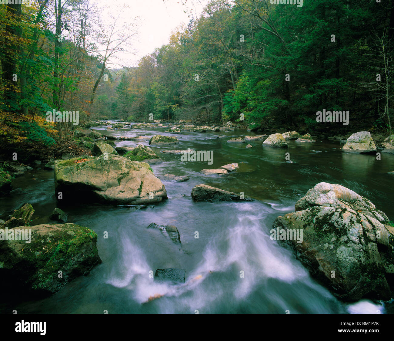 Ken Lockwood Gorge Ken Lockwood Gorge Reserve New Jersey Stock Photo