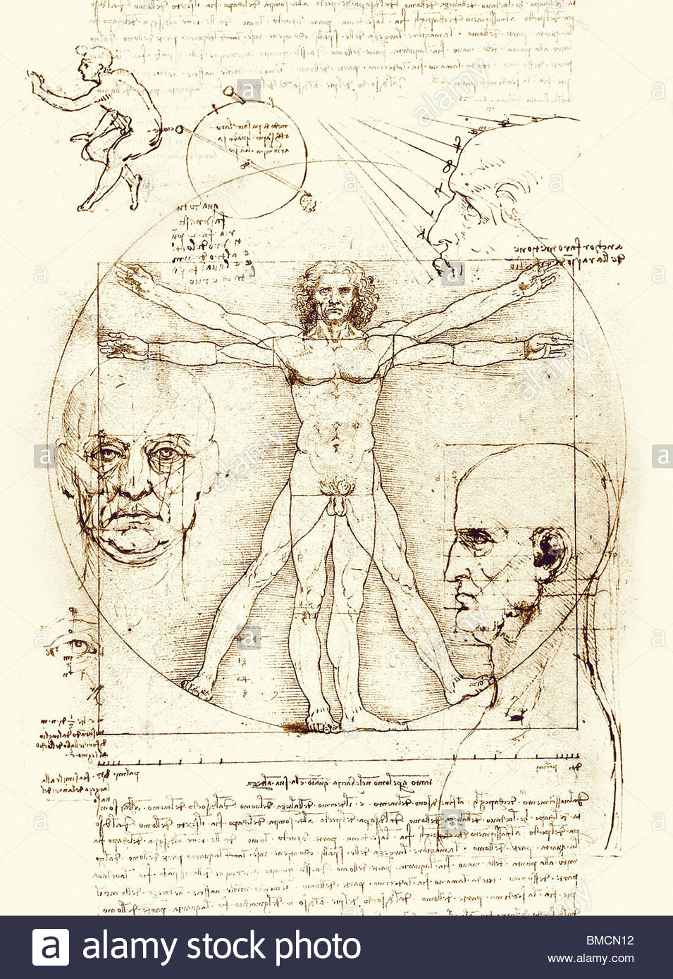 renaissance art of leonardo da vinci Information and analysis of leonardo da vinci's masterpiece portrait of the italian renaissance, the mona lisa (also known as la jaconde or la giaconda. renaissance art of leonardo da vinci Information and analysis of leonardo da vinci's masterpiece portrait of the italian renaissance, the mona lisa (also known as la jaconde or la giaconda.