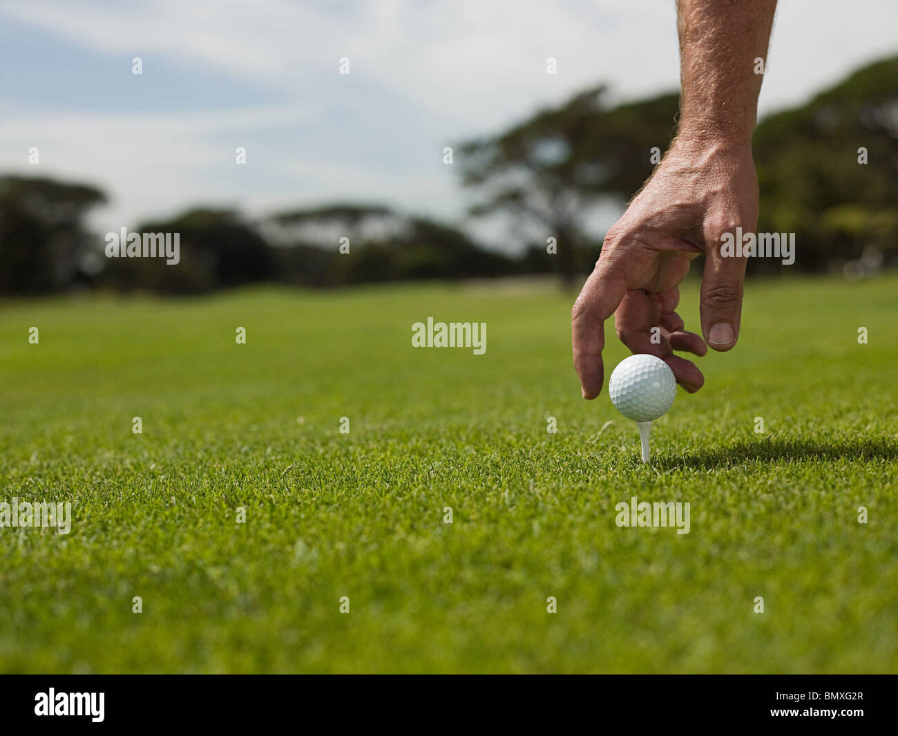 Man playing golf, picking up ball Stock Photo, Royalty Free Image 30086863 Alamy