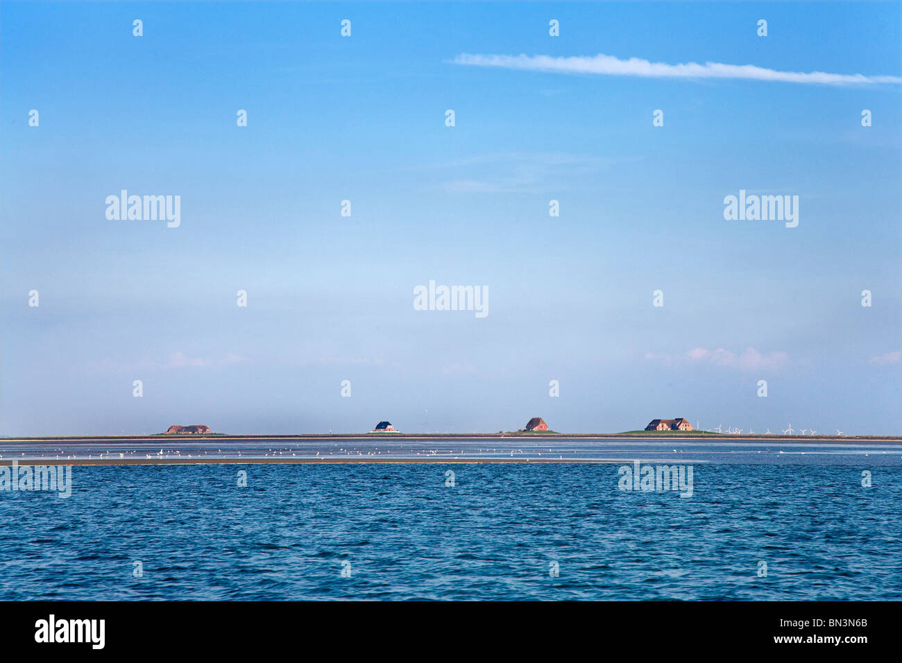 View Of Terps, Hallig Langeness, Nordfriesland, Schleswig ...
