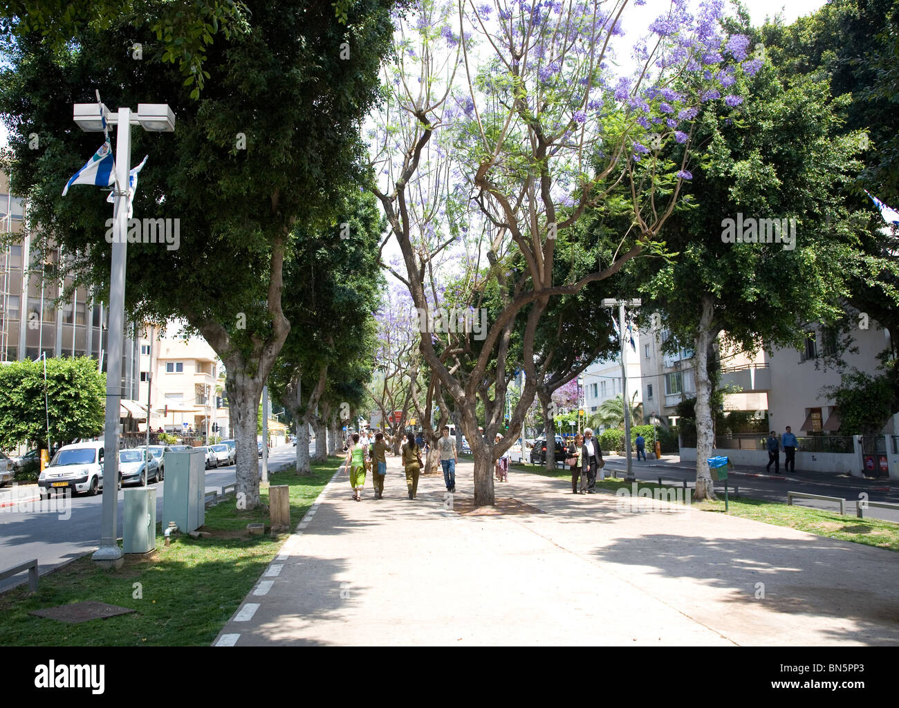 Rothschild Boulevard / avenue in Tel Aviv Israel Stock Photo, Royalty