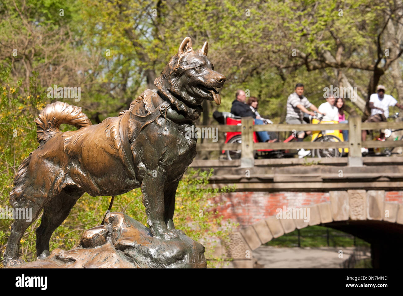 Sled Dog Statue, Balto, in Central Park NYC Stock Photo, Royalty Free