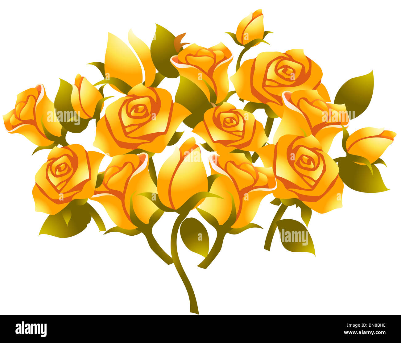 illustration drawing of yellow rose flower in white