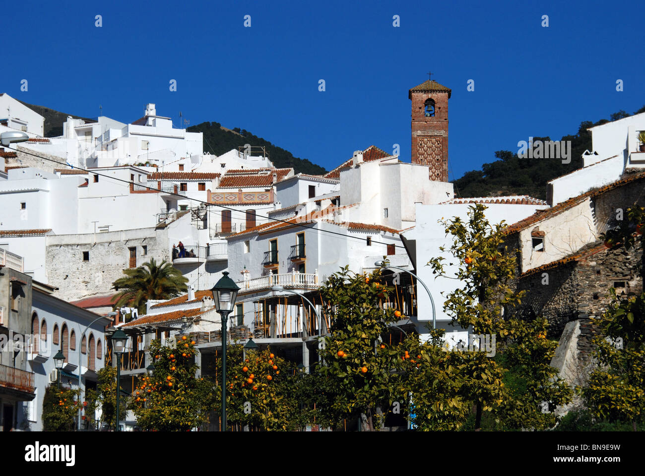 View of whitewashed village (pueblo blanco), Salares, Costa del Sol