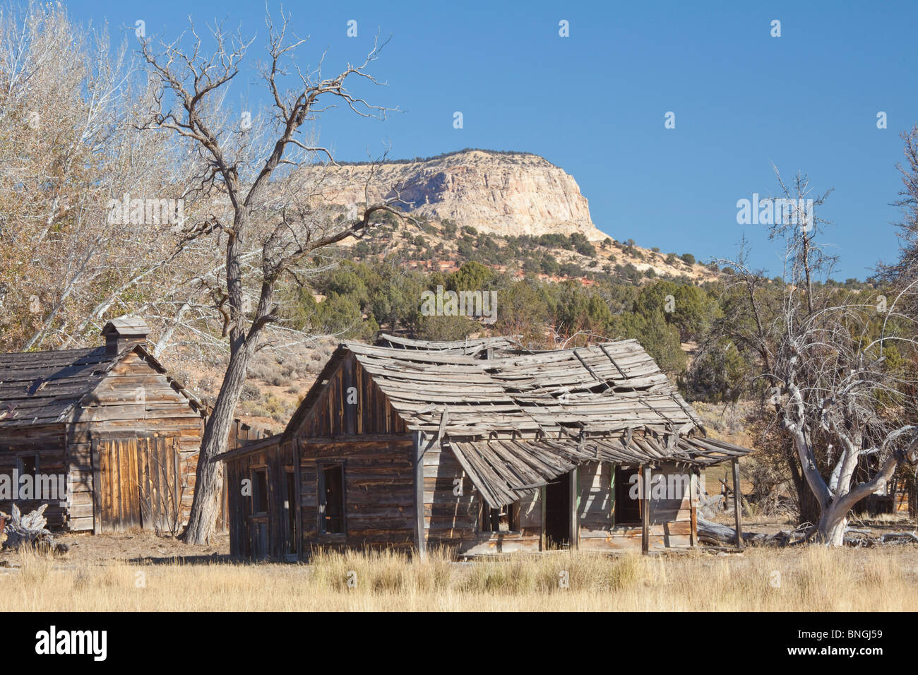 Abandoned houses in a ghost town, Johnson Canyon, Kanab, Utah, USA