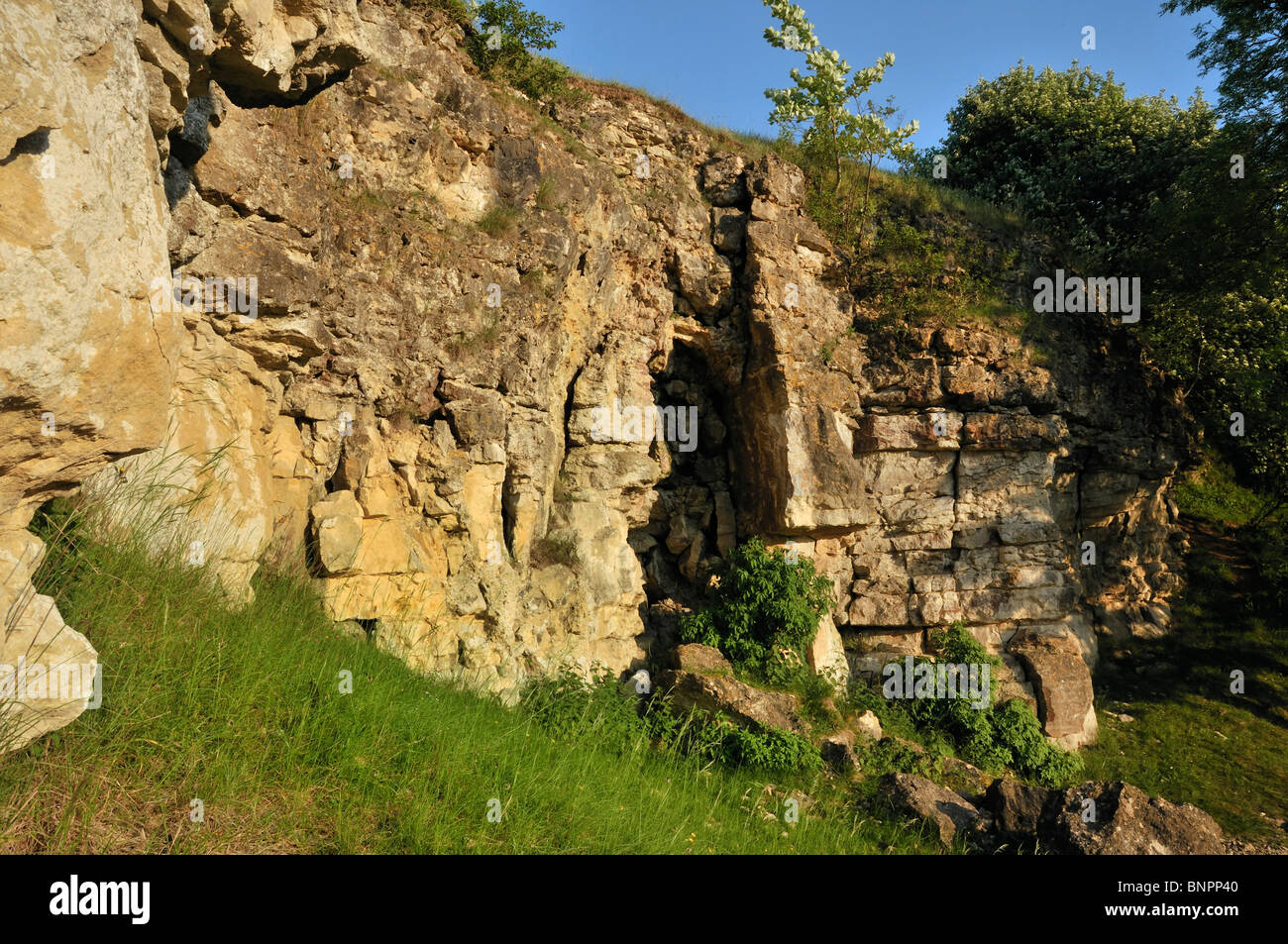 Disused Cotswold Limestone Quarry on Selsley Common, Stroud Stock Photo