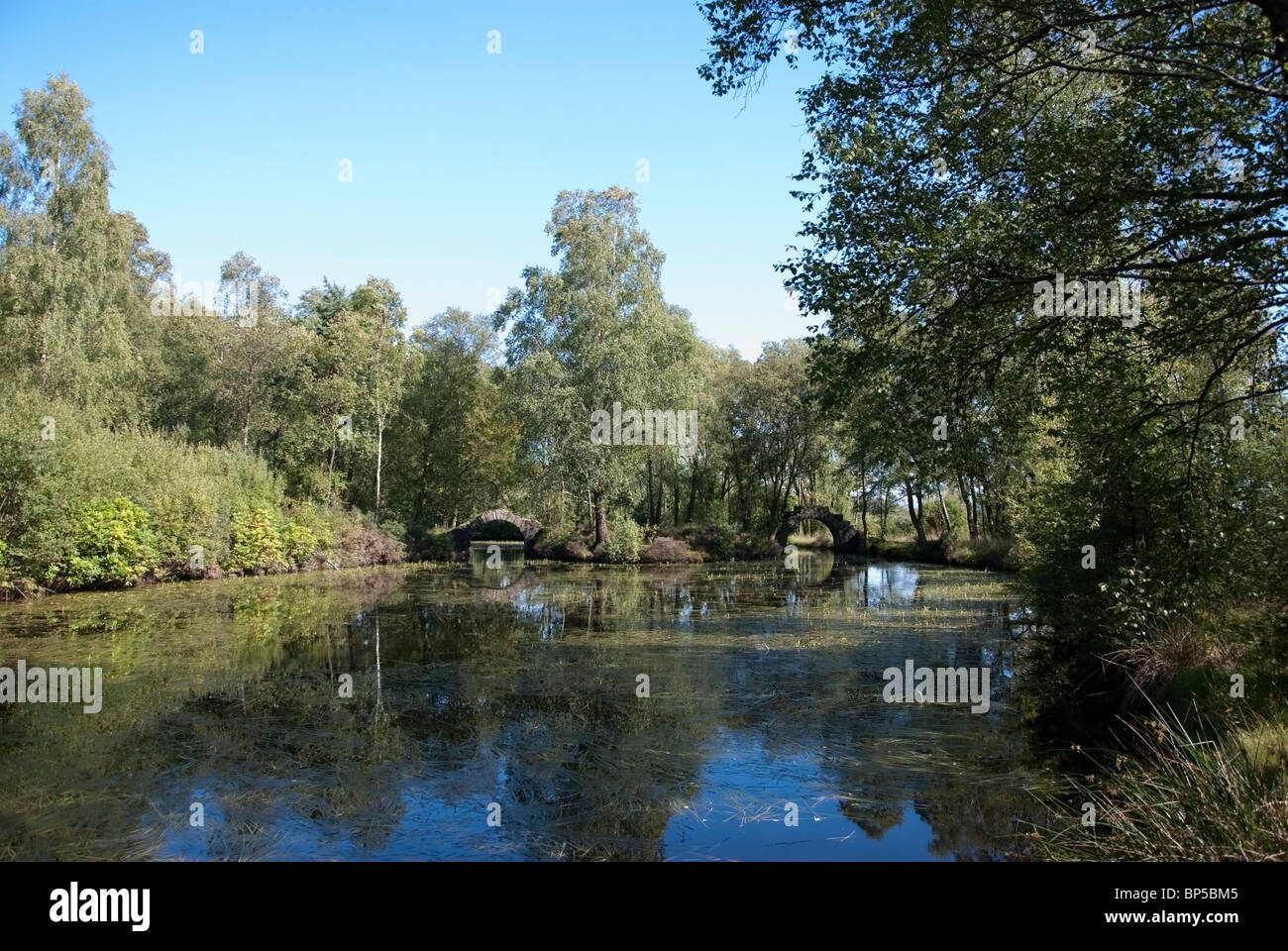 The Ivy Bridges At The Chinese Ponds Castle Toward Estate Corlarach ...