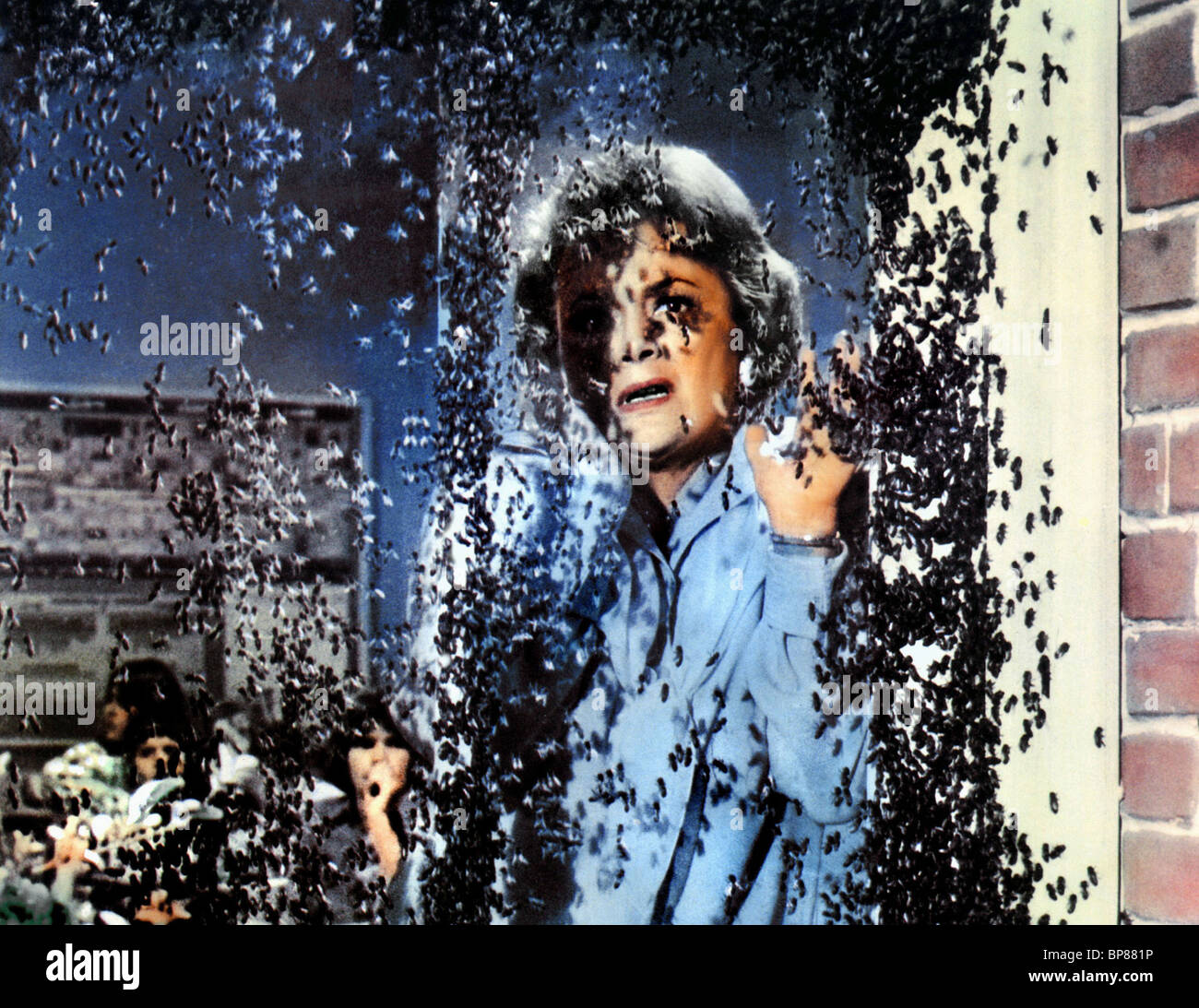 The Swarm film - Wikipedia
