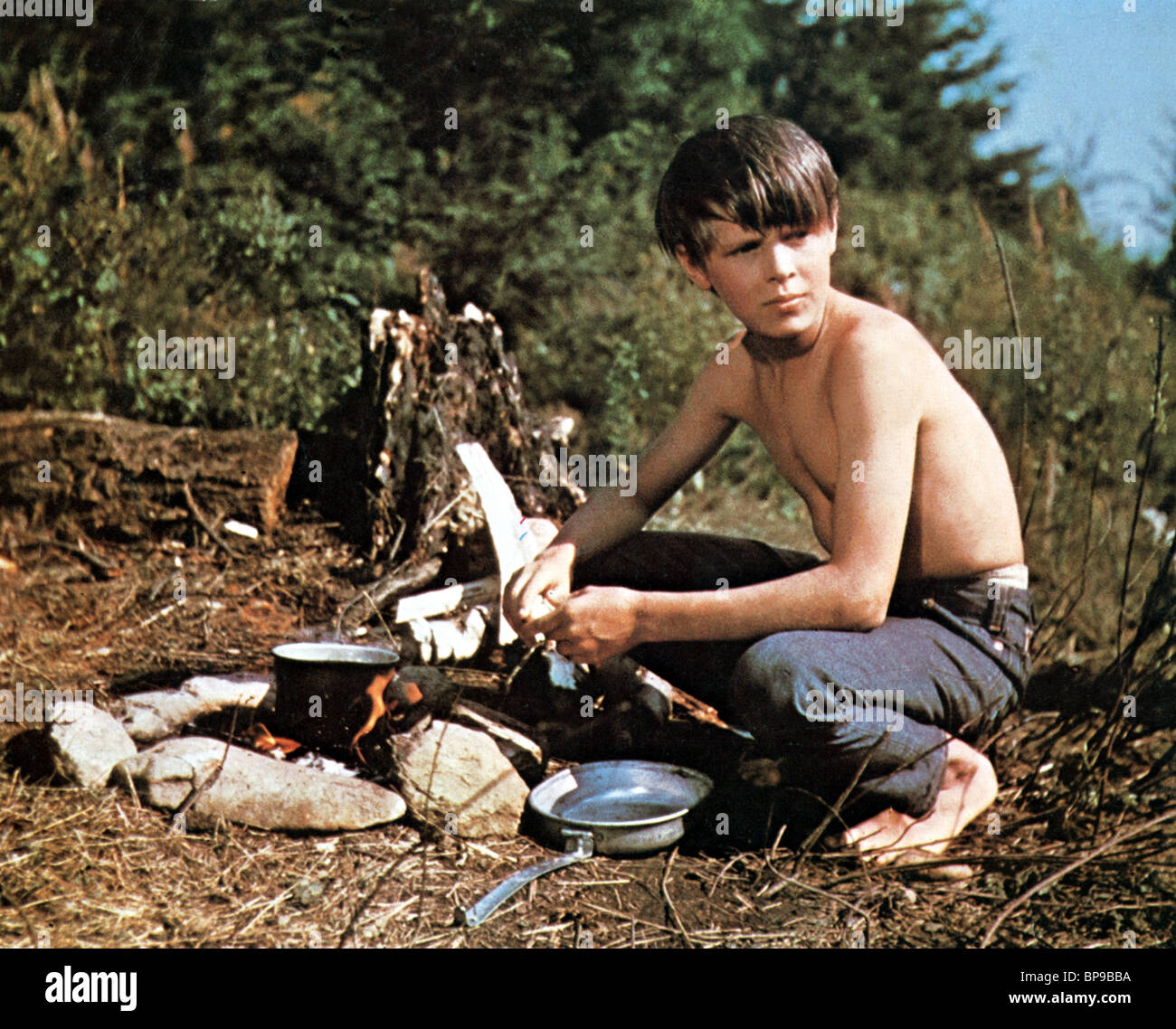 TED ECCLES MY SIDE OF THE MOUNTAIN (1969 Stock Photo, Royalty Free Image 30939310 Alamy
