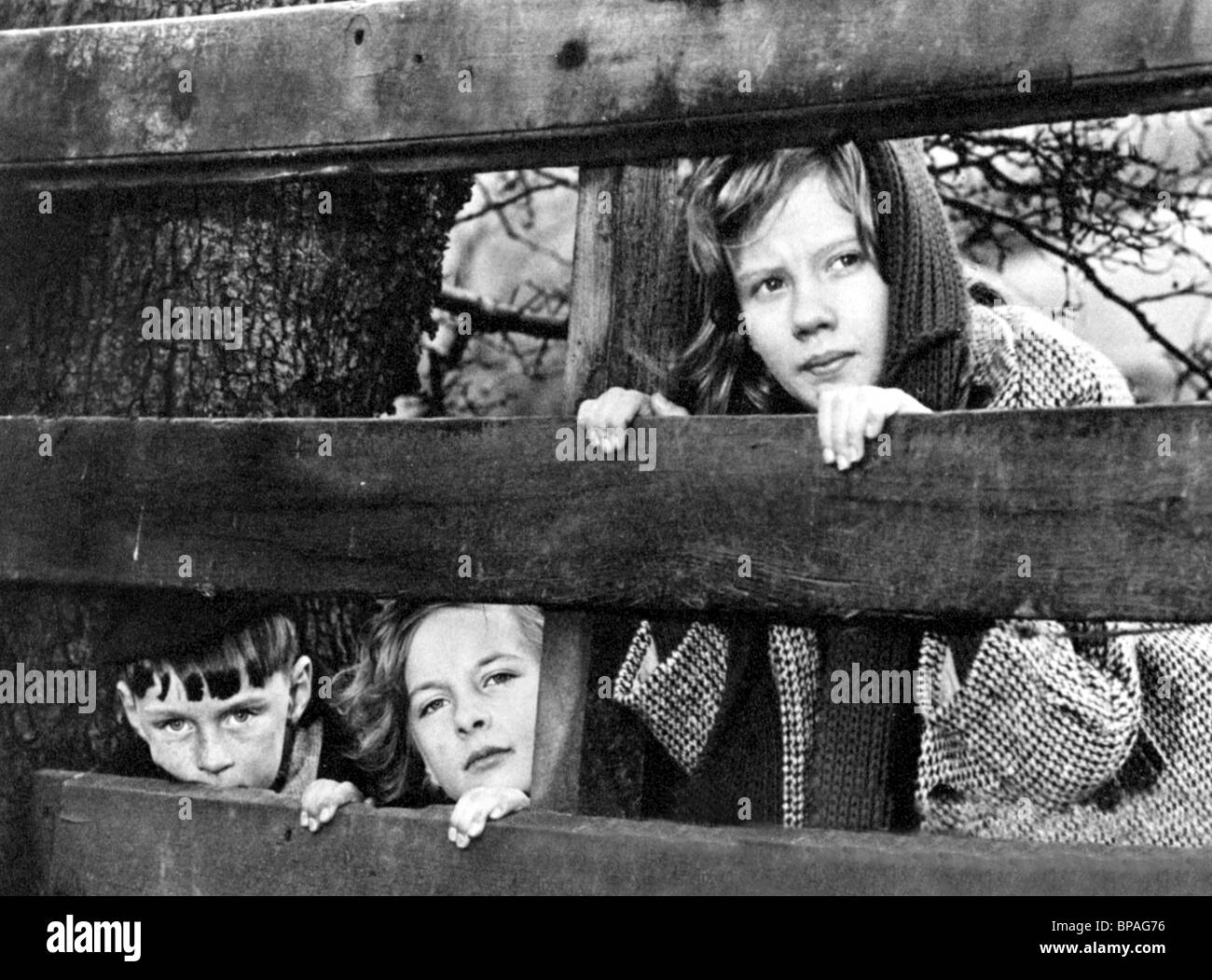 ALAN BARNES DIANE HOLGATE & HAYLEY MILLS WHISTLE DOWN THE WIND (1961