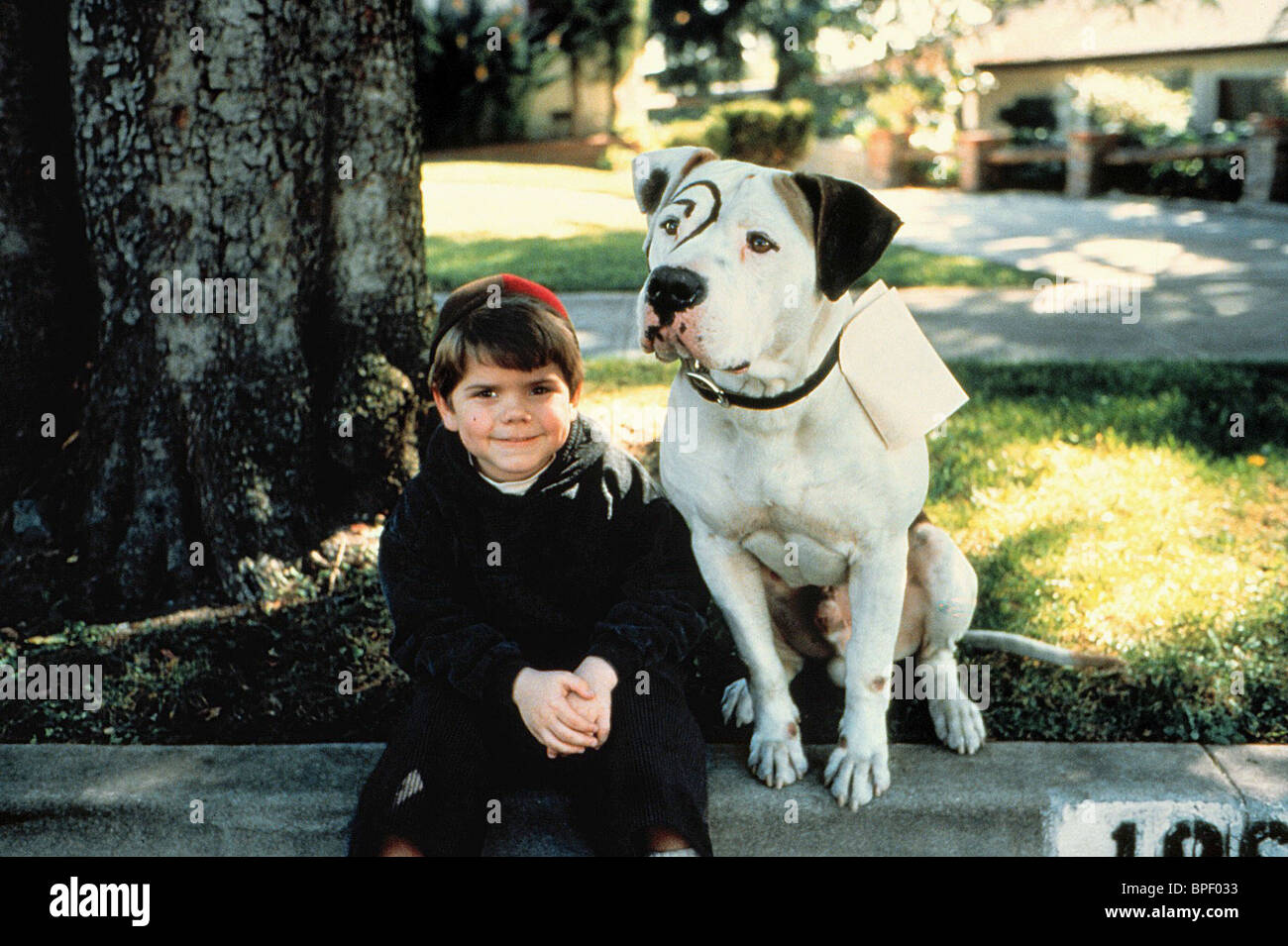 TRAVIS TEDFORD & DOG THE LITTLE RASCALS (1994 Stock Photo, Royalty Free