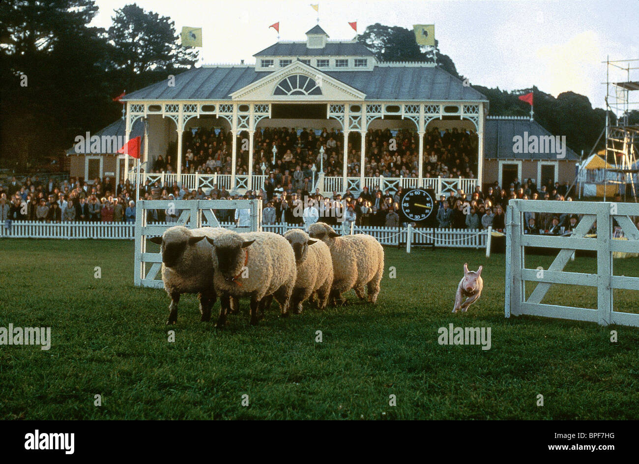 Babe Film Pig Stock Photos Babe Film Pig Stock Images Alamy