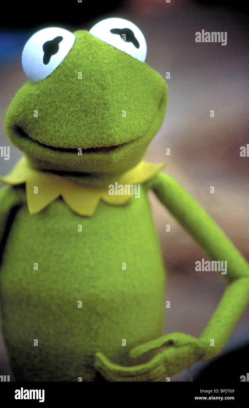 Kermit Kermit's Swamp Years The Real Story Behind Kermit The Frog's