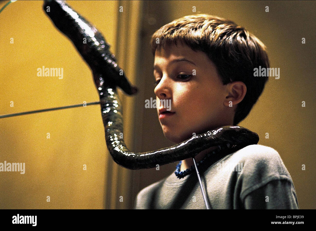 The Day The World Ended 2001 BOBBY EDNER THE DAY THE WORLD ENDED (2001 Stock Photo, Royalty Free