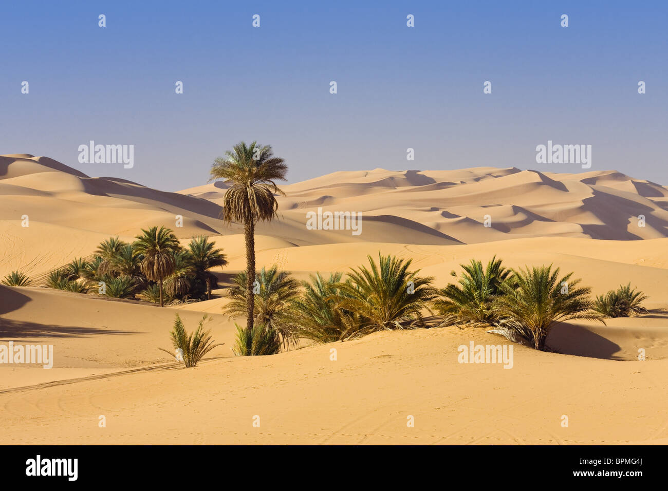 dating desert Meetups in palm desert these are just some of the different kinds of meetup groups you can find near palm desert sign me up. dating desert Meetups in palm desert these are just some of the different kinds of meetup groups you can find near palm desert sign me up.