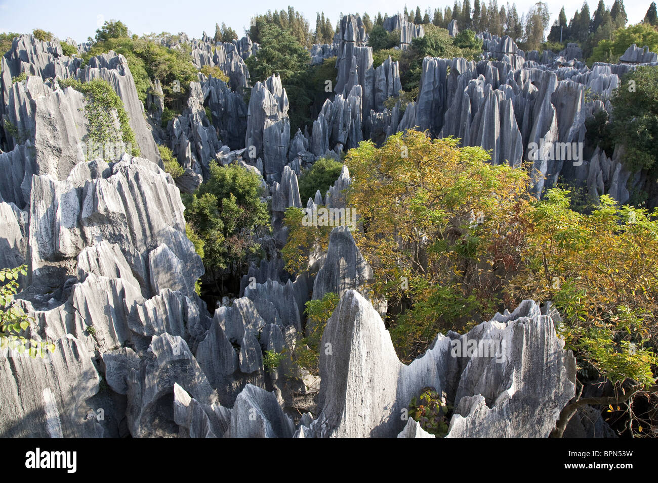 View Over Large Stone Forest Karst Formations Shilin Yunnan People