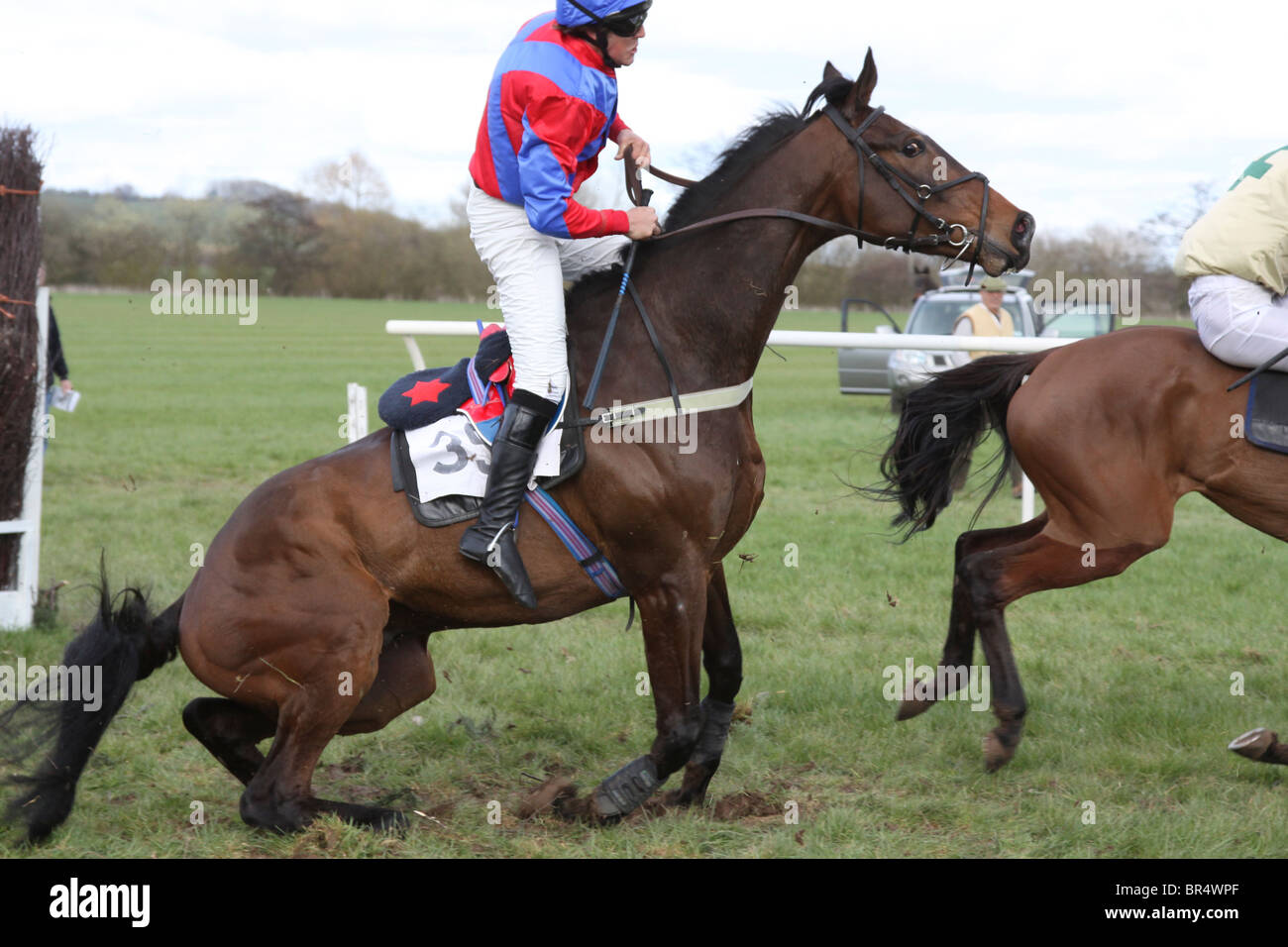 Jockey falling off a racehorse after a jump in a point to point race Stock Photo, Royalty Free