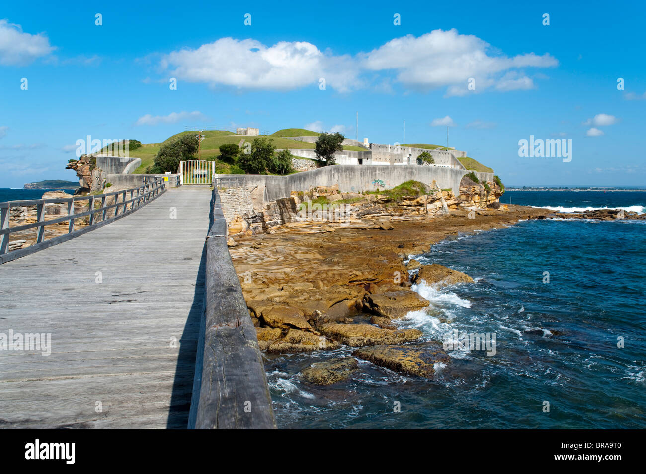 Résultat de recherche d'images pour "botany australia"