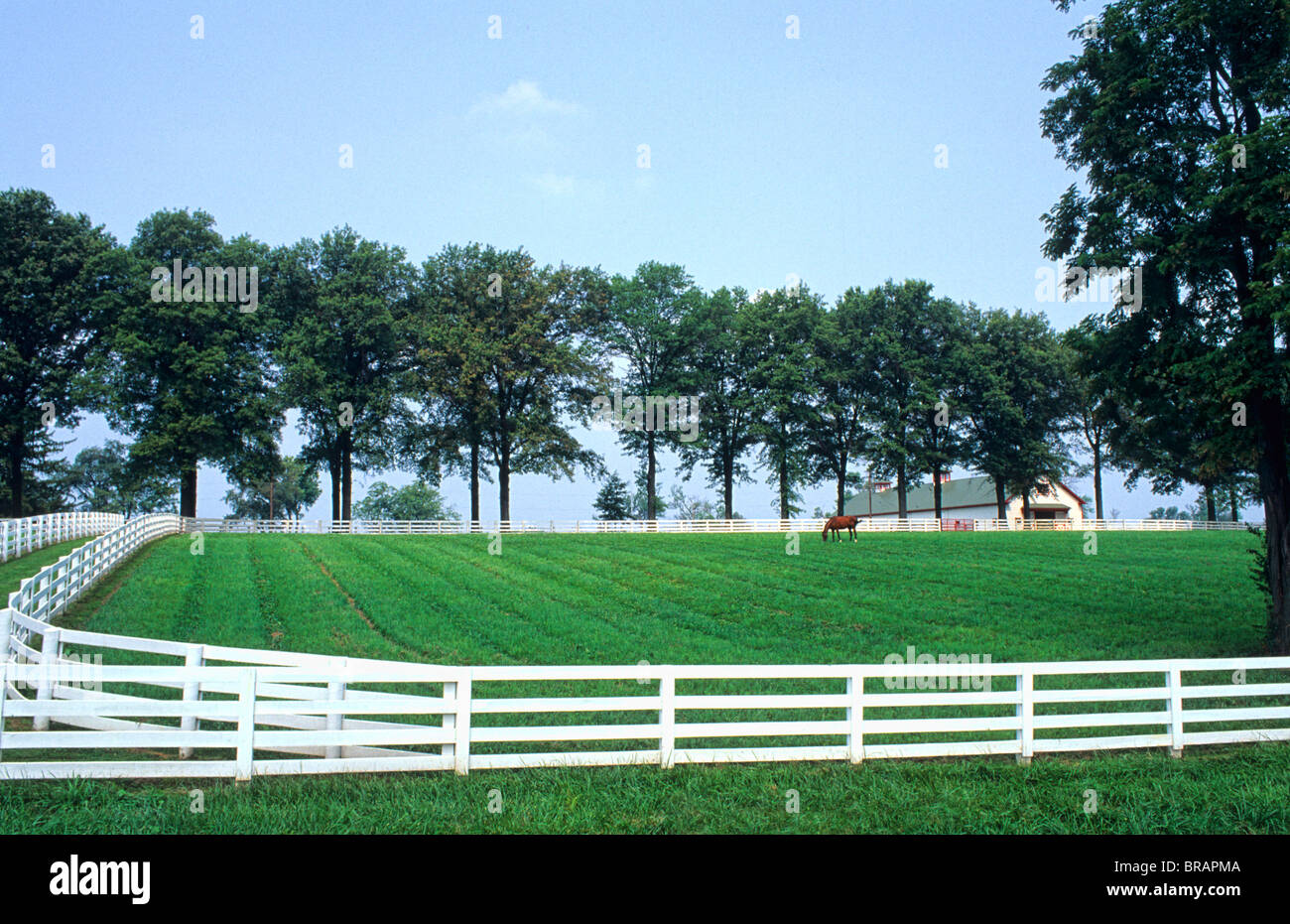 White Farm Fence White Farm Fence