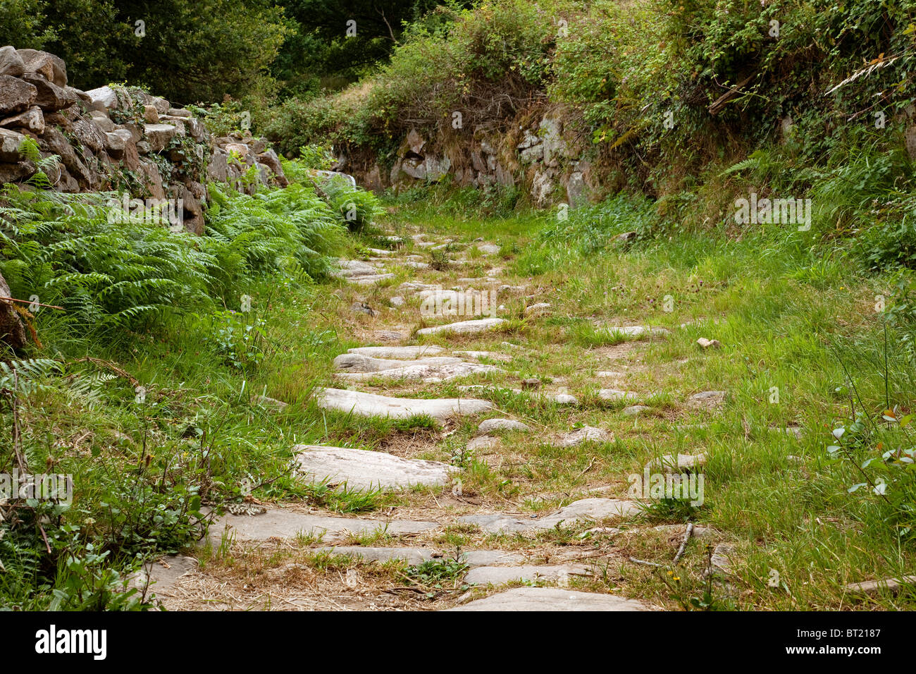 Foto de Calzada de Bárcena de Pie de Concha en Villaescusa, Cantabria