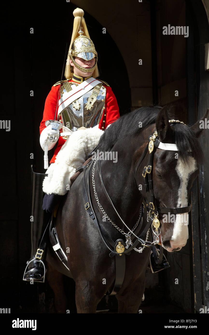 British Household Cavalry (Life Guards Regiment), Horse Guards Stock